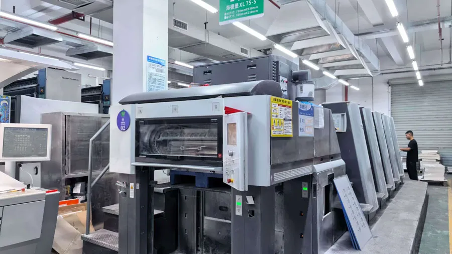 Welke pijnpunten kan Heidelberg+volautomatische productielijn oplossen bij het personaliseren van verpakkingen?